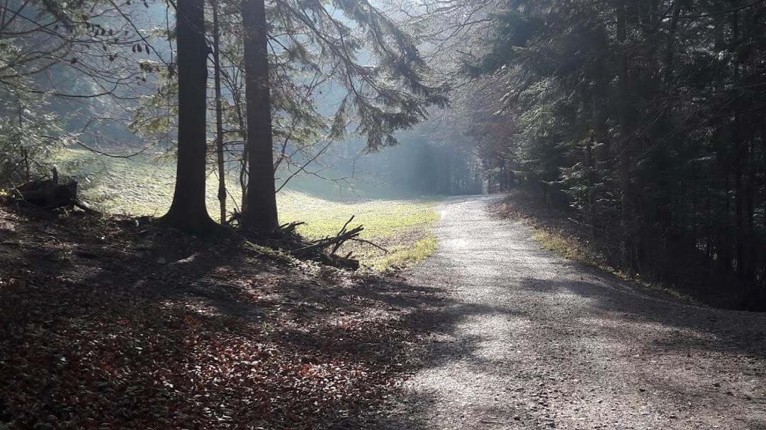 Willa Sawina Sromowce Niżne Exteriér fotografie